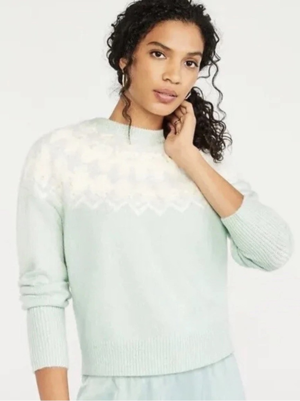Ann Taylor Mint Green Fair Isle Yoke Crewneck Sweater Size Medium